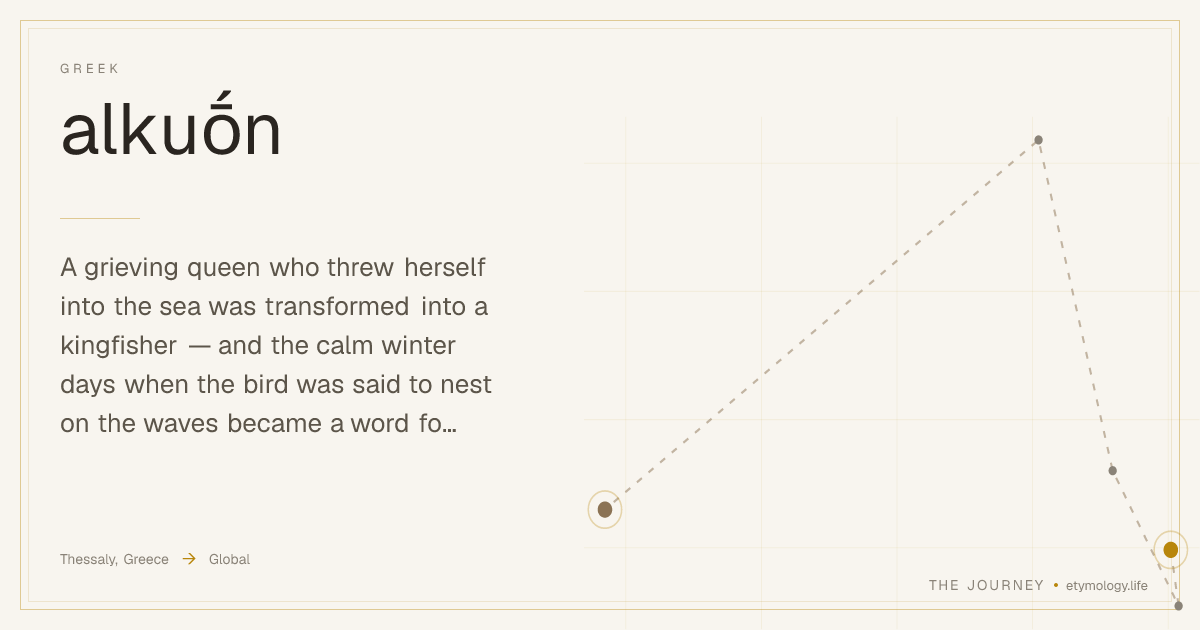 Halcyon — Meaning, Origin & Etymology | The Journey